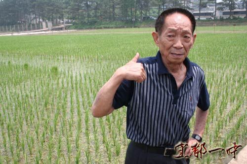 袁隆平发明杂交水稻：一颗种子改变世界