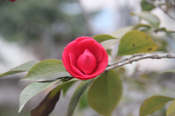 照片 0044.jpg