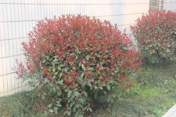 照片 050.jpg