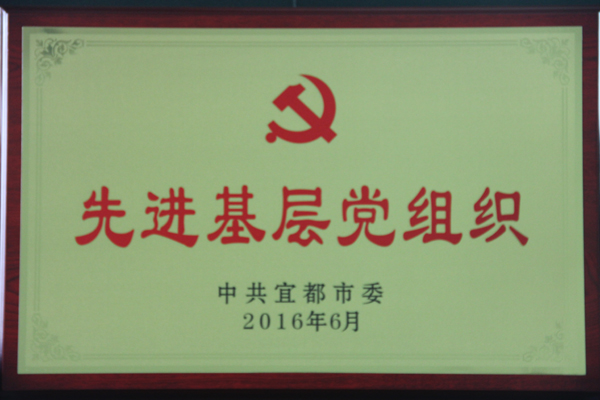照片 004.jpg