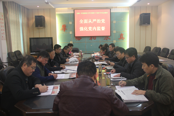 宜都一中党委组织学习党的十八届六中全会精神