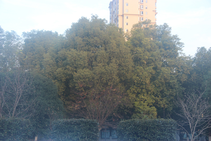 照片 093.jpg