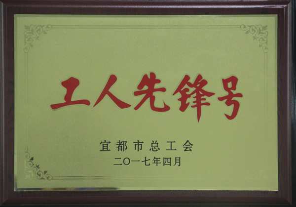 我校物理教研组荣获宜都市“工人先锋号”称号