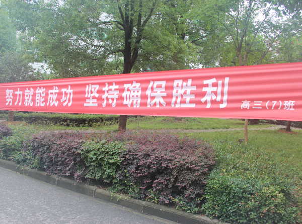 照片 7.jpg