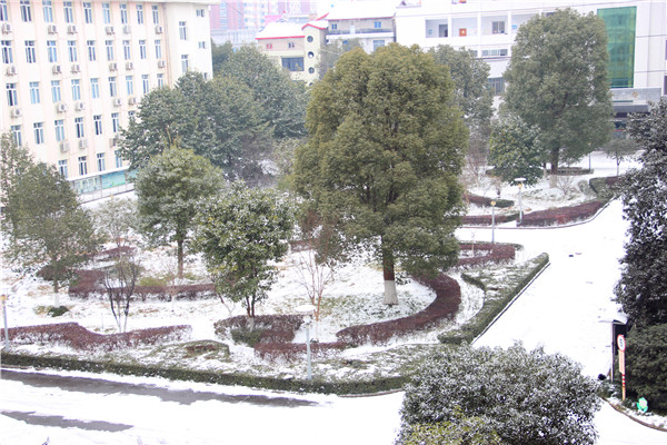 照片 089.jpg