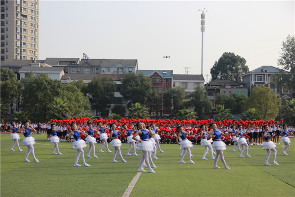 照片 437.jpg