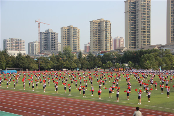照片 526.jpg