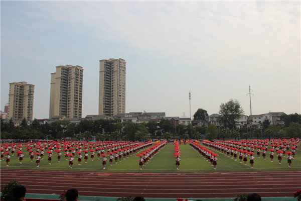 照片 687.jpg