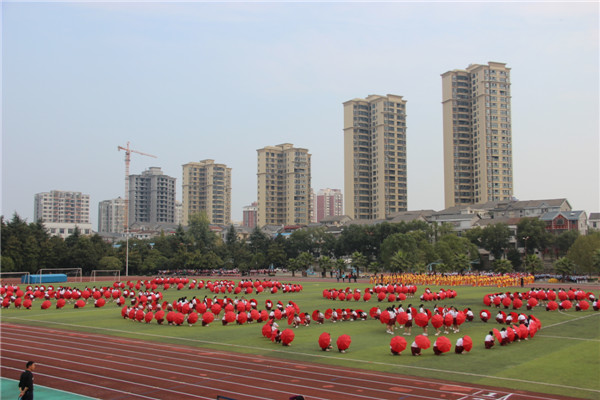 照片 706.jpg