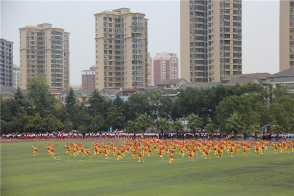 照片 798.jpg