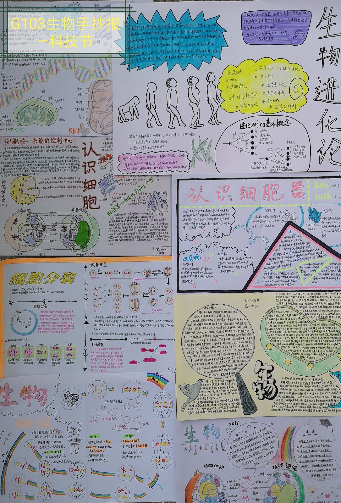 2019年春季高一生物学科活动结果