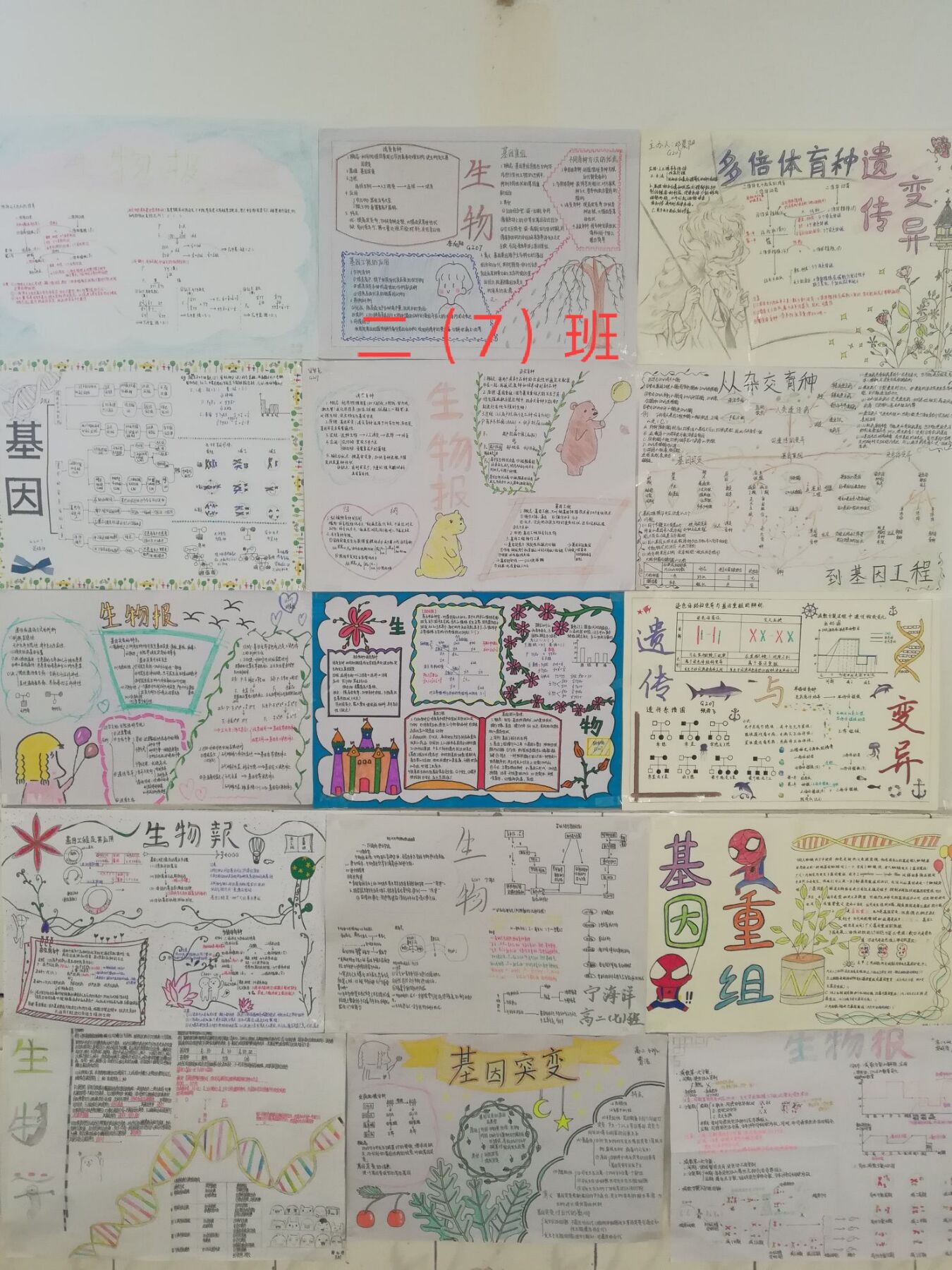 2019年春季高二生物学科活动结果