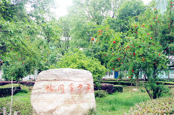 石榴花开，学子归来——宜都一中高三开学日