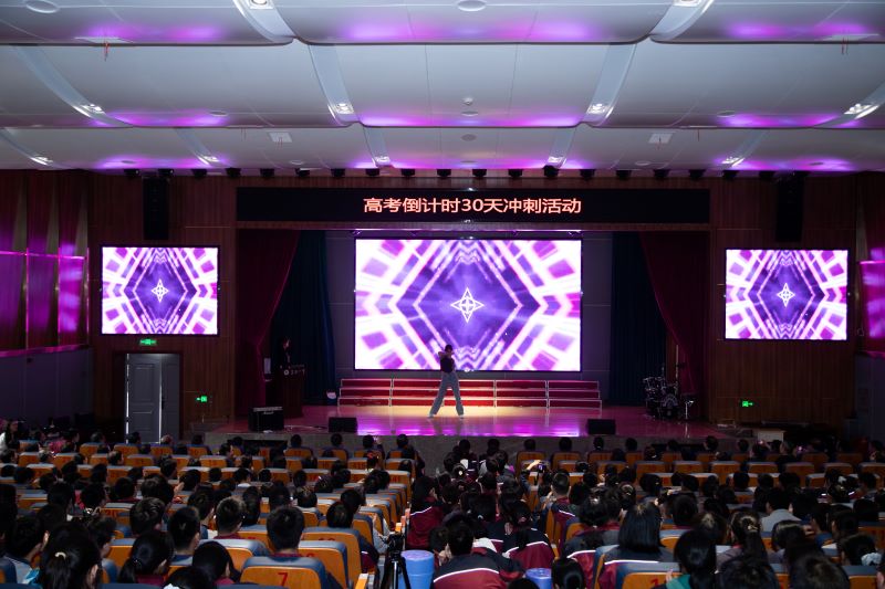 踔厉奋发正青春，笃行不怠向未来 