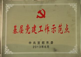 我校荣获宜都市“基层党建工作示范点”称号