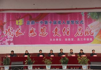 青春万岁 龙马岁月——我校举行第十届成人宣誓仪式